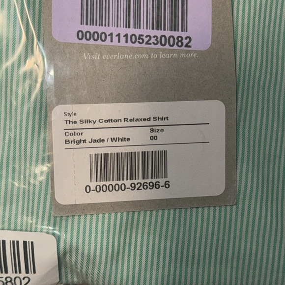 NWT Everlane Mint Pinstripe Oversized Cotton Button Up - Picture 3 of 7